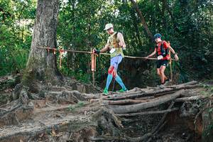 BIB: 
                            <button type="button" onclick="openModal(27752519)" class="btn btn-primary btn-sm float-right btn-popup" data-toggle="modal" data-target=".modal-high-quality">
                        <i class="fas fa-shopping-cart"></i> Add to Cart
                    </button>
                                            <button type="button" onclick="isThisMe(27752519, true)" class="btn btn-success btn-sm float-right btn-popup btn-isme hidden" data-toggle="tooltip" data-placement="bottom" title="นี่คือรูปของคุณใช่ไหม คลิกที่นี่เพื่อเอาเข้าอัลบั้ม">
                        <i class="fas fa-plus"></i> Add to album
                    </button>
                    <button type="button" onclick="isThisMe(27752519, false)" class="btn btn-warning btn-sm float-right btn-popup btn-isnotme hidden">
                        <i class="fas fa-ban"></i> Remove from album
                    </button>